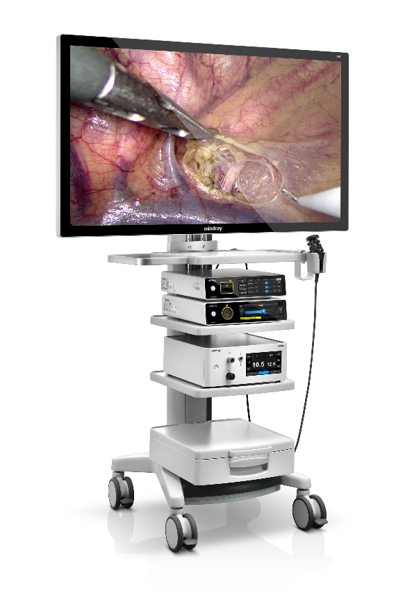 Video Endoscopy Camera System